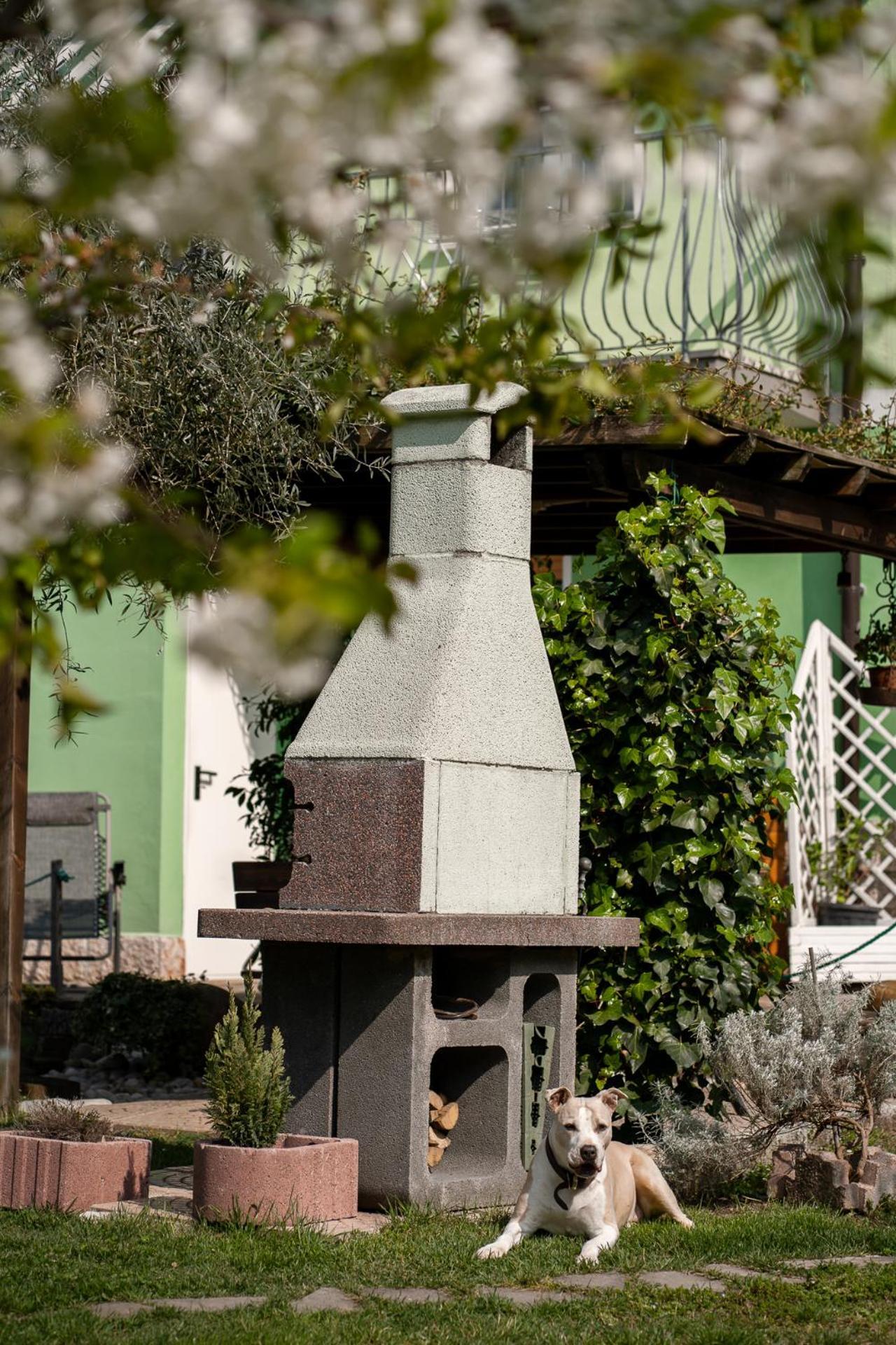 La Casa Nel Verde 阿科 外观 照片