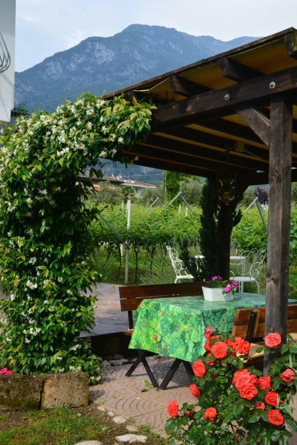 La Casa Nel Verde 阿科 外观 照片